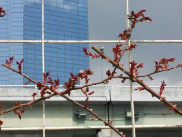 �A���N���E�H���^�[