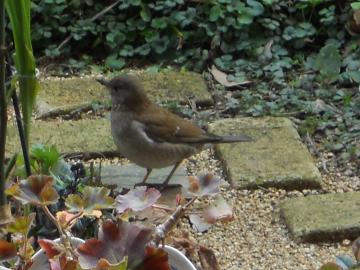 �q���h��