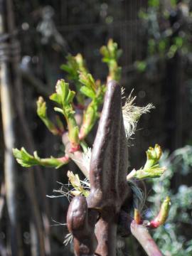 ��o���E�L���O