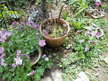 �r�I���Əh����