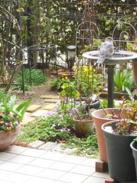 �H��̐�������