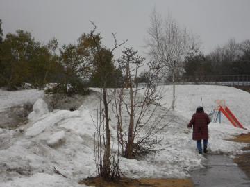 �ς�����