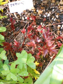 �h�����A�X�`���x�̐���