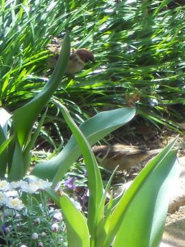 �X�Y�������C�I