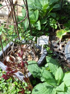 ���N�����Ă䂭�W�L�^���X