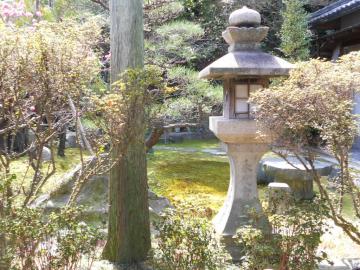 �{�a���̒�