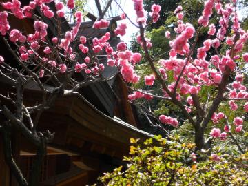 �{�a���̒�̒��E�E�E���d�̓�