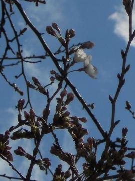 �J���n�߂���