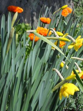 ����ƃL���Z���J