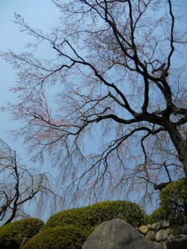 �w��������x�S�i�I