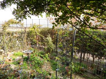 �����̃}�C�K�[�f��