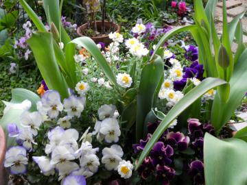 �`���[���b�v�̂ڂ�