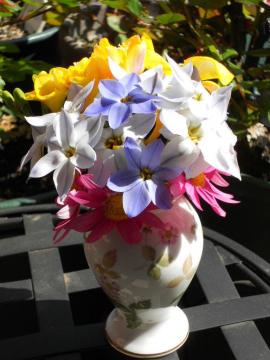 �����̃A�����W