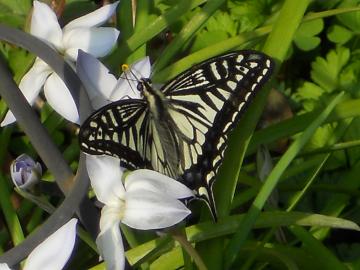 �n�i�j���։ԕ������߂�