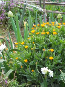 ���̒��̃L���Z���J