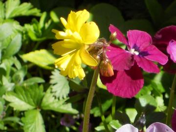 ���d�炫�I�L�U���X