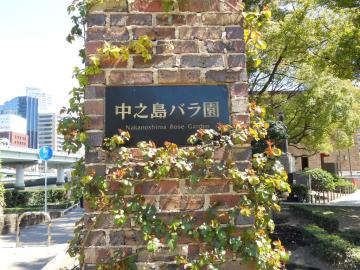 ���V���K�N��