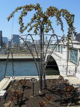 �X�^���_�[�h�d����