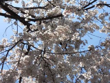 �����J�I