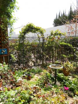 �����T�[���̃A�[�`