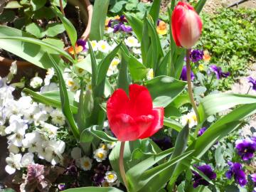 �{���@�J�ԁI