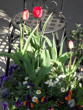 �����̒��̃`���[���b�v