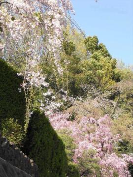 ��ߏ�����̂������