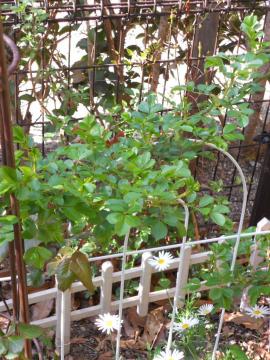 ��o���E�L���O