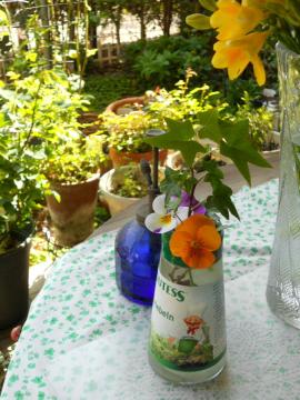 �����̃A�����W