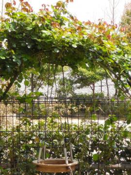 ������肵�������T�[���̃A�[�`