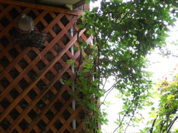 �����A���N�����Z�܂��ł����H