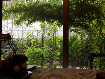 ���r���O����̒���