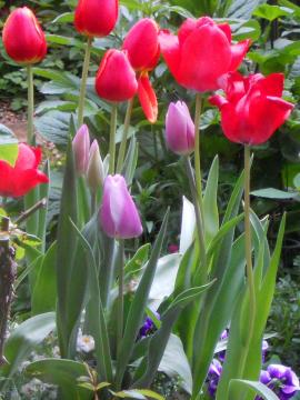 �J�オ��̃`���[���b�v