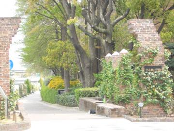 ���k�l���V���K�N��