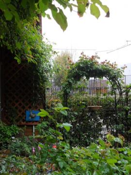 �����T�[���A�[�`�Ƃ�A�C�X�o�[�O