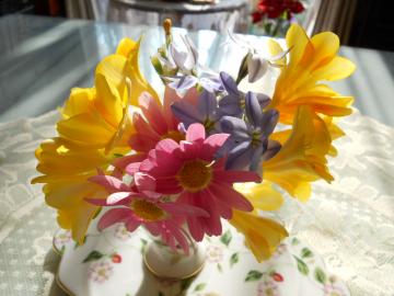 �����̃A�����W