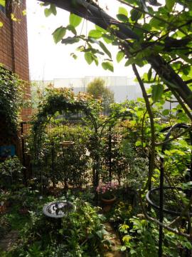 �����̃}�C�K�[�f��