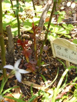 �̂��݂̍��V�[�Y���̃V���[�g