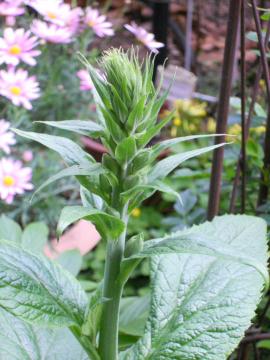 �W�L�^���X