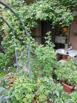 �}�C�K�[�f��