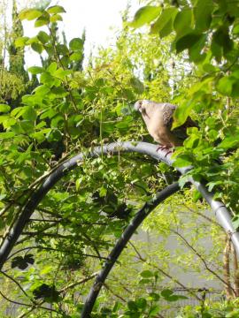 ���������͂悤�I