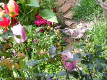 �����шꏏ�ɐH�ׂ悤�I