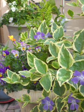 �������󂯂ē��e���X