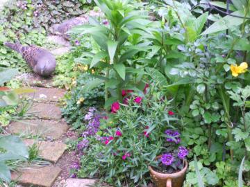 ��l���ǂ����H��