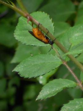 �`���E�����o�`