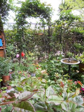 �����̃}�C�K�[�f��