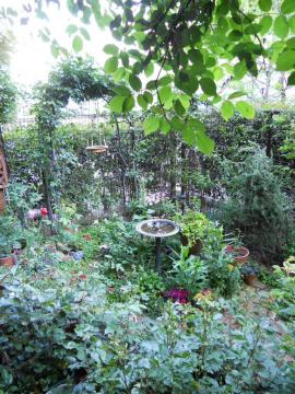 �����̃}�C�K�[�f��