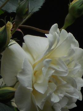 ����炢���X�e���O���C