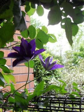 �N���}�`�X�F�v���W�f���g