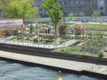 ���V���K�N��